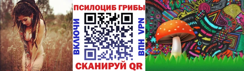 Галлюциногенные грибы Psilocybe  ОМГ ОМГ зеркало  Сельцо 